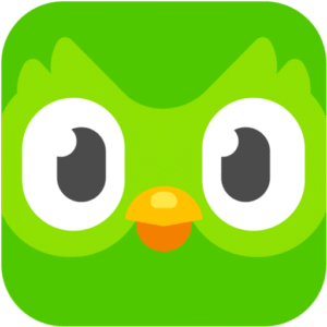 Super Duolingo 1 an
